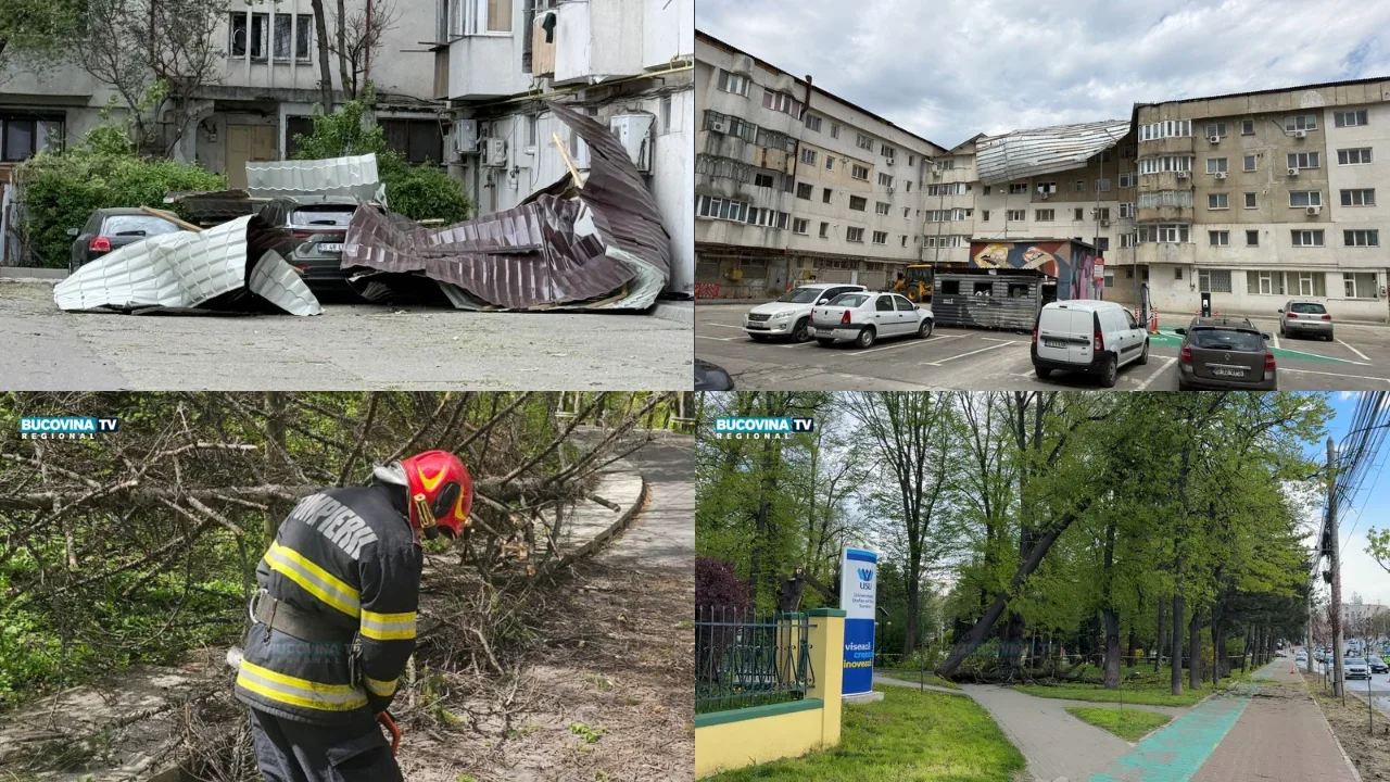 Codul portocaliu de vânt puternic face ravagii în Moldova