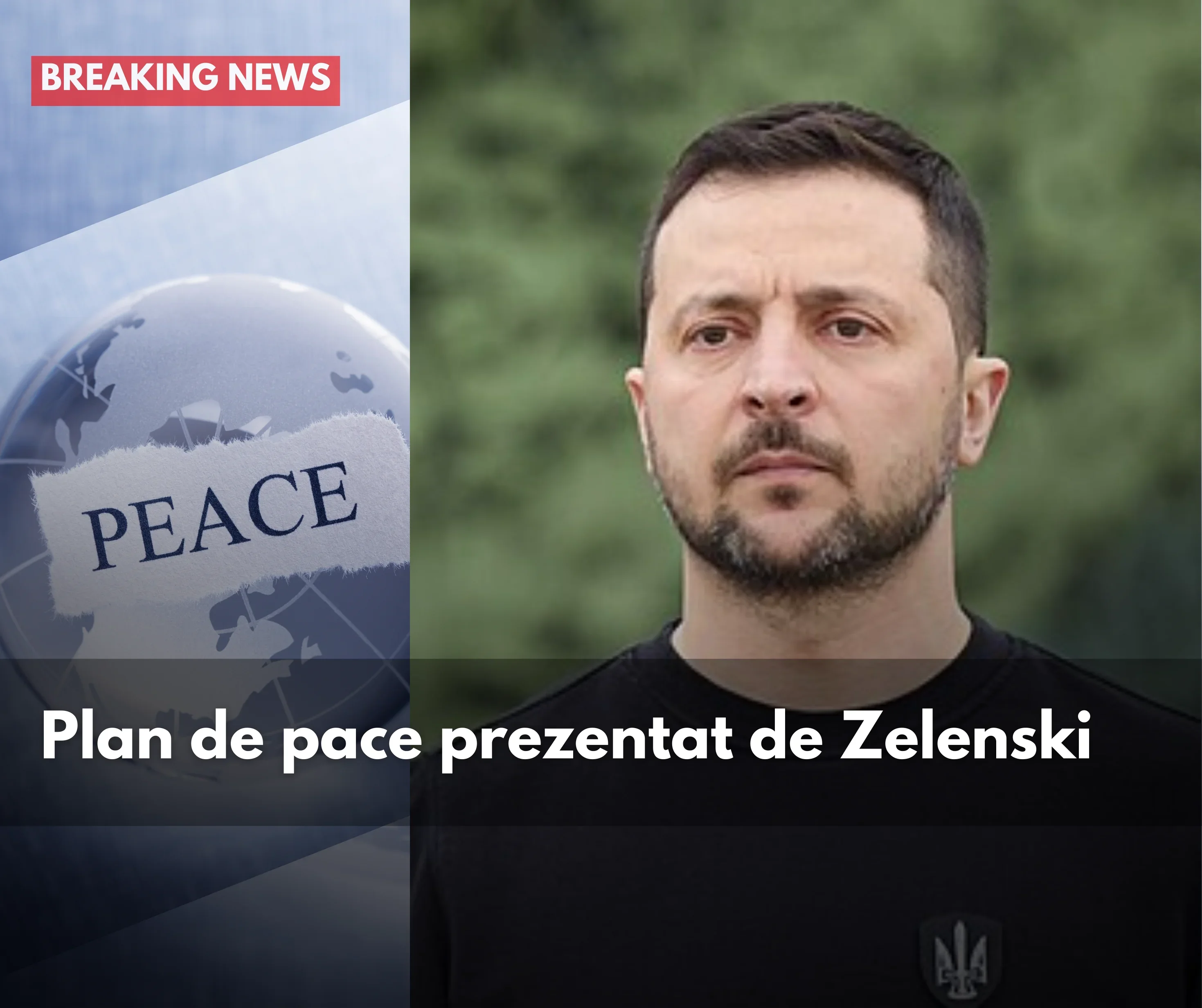 Plan de pace în 20 de puncte prezentat de Zelenski