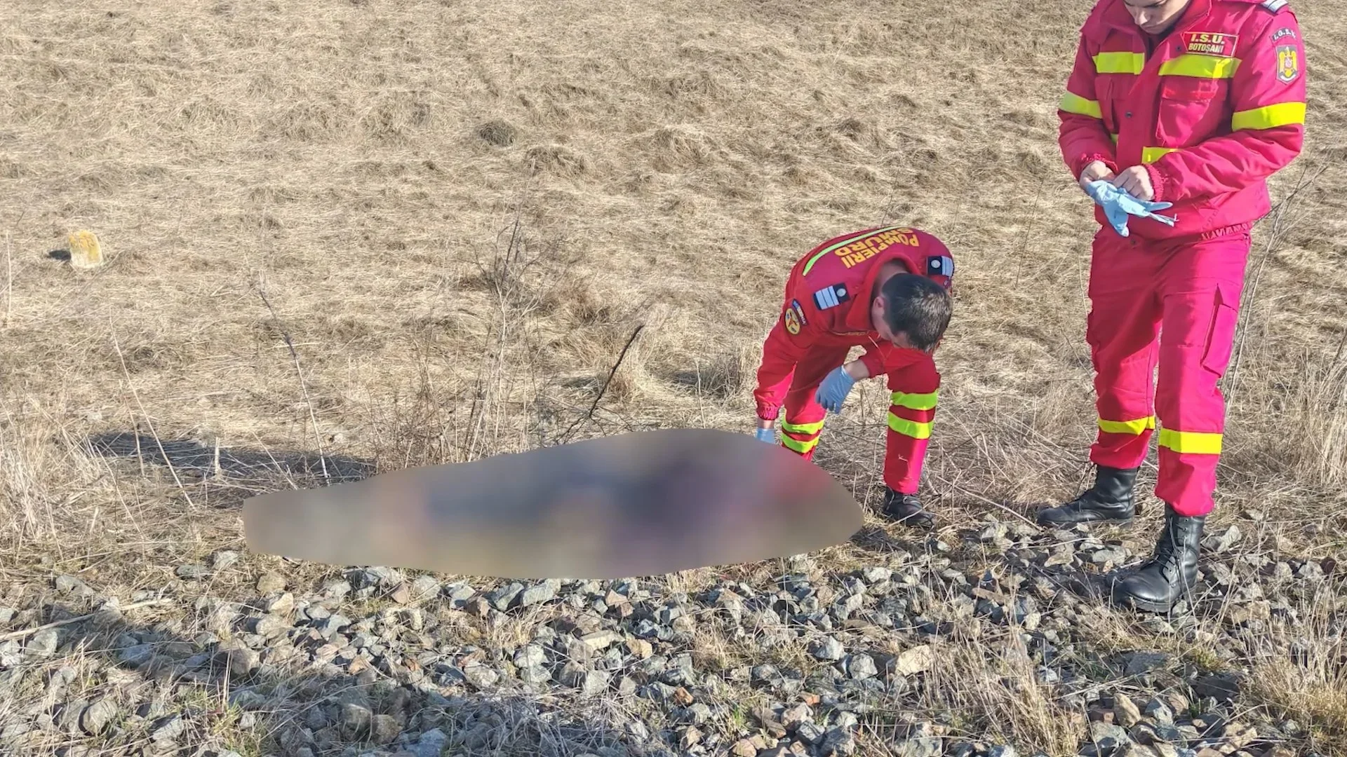 Moarte cumplită pe câmp: cioban lovit de tren