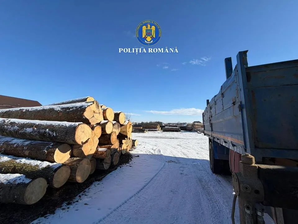 Sancțiuni și confiscări în urma unei acțiuni pe linie silvică