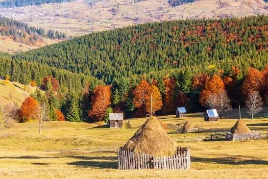 E toamnă peste Bucovina!