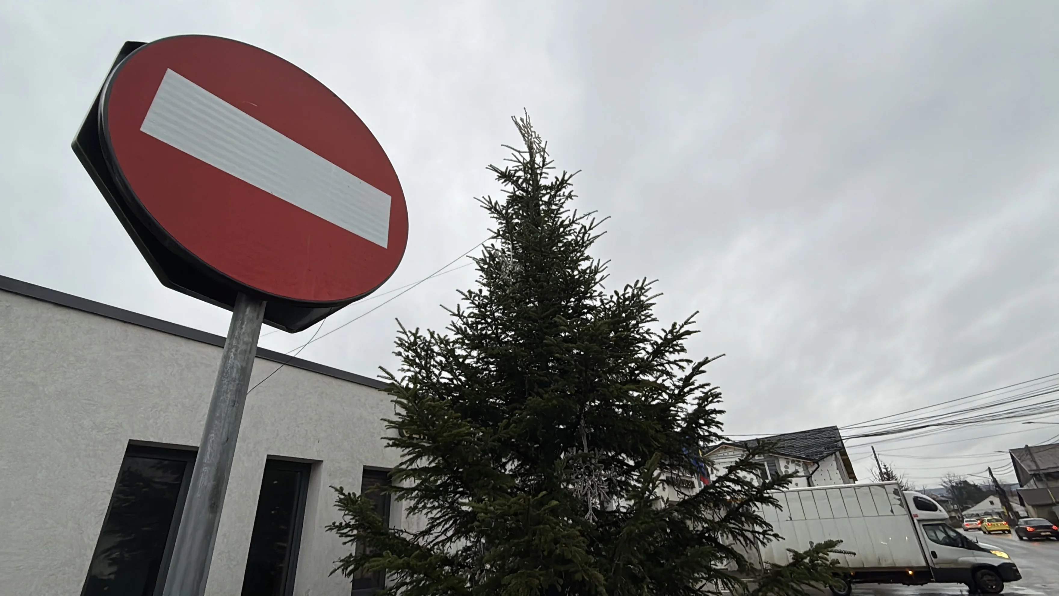 Ițcani - singurul cartier unde bradul are ,,program scurt”