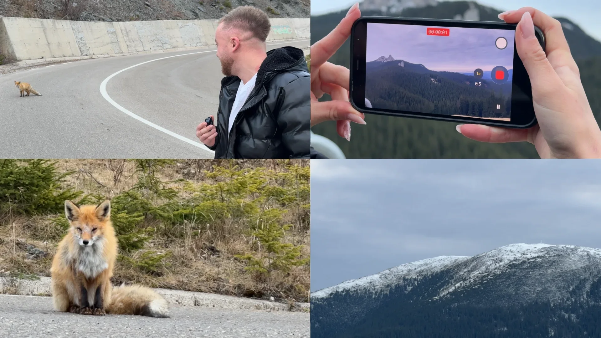 Weekend cu aventuri pe Rarău: turiști și o vulpe curioasă în drumul spre munte