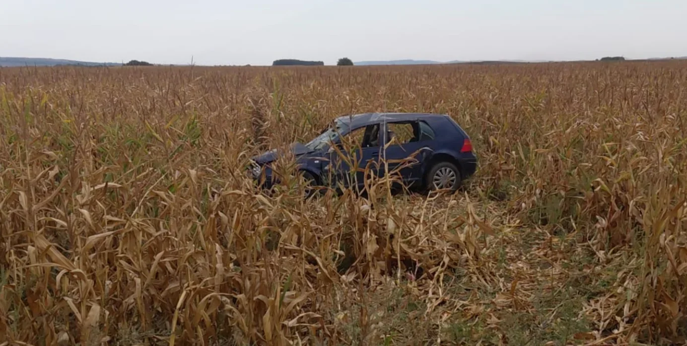Un tânăr a ajuns cu mașina în porumb, în încercarea de a evita un câine