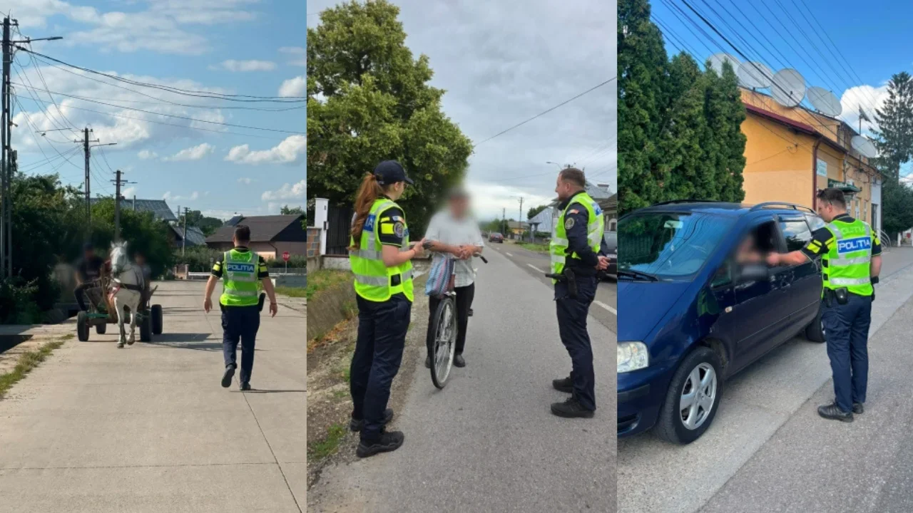 Polițiștii au tras pe dreapta tot ce mișcă în comuna suceveană Arbore