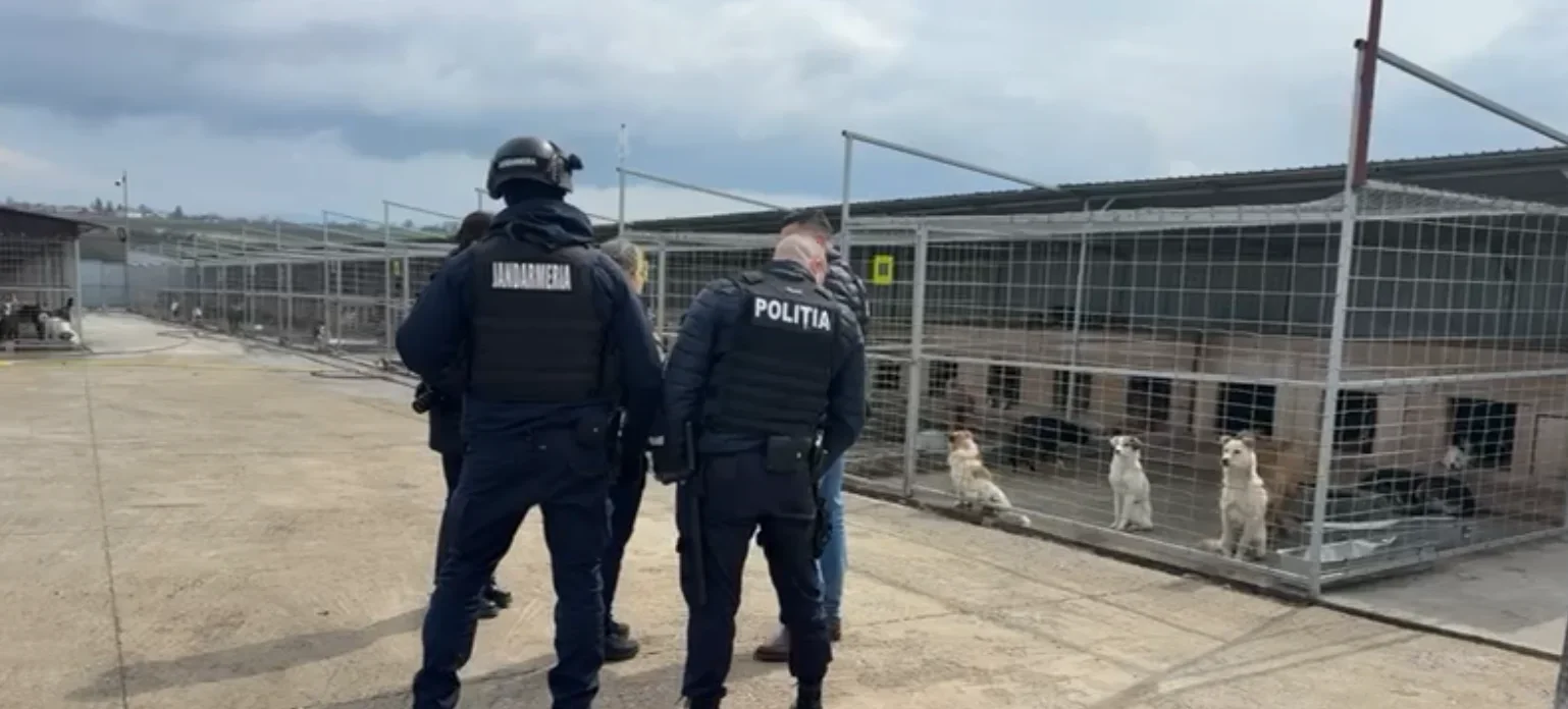 Administratorul adăpostului din Berchișești, reținut de polițiști