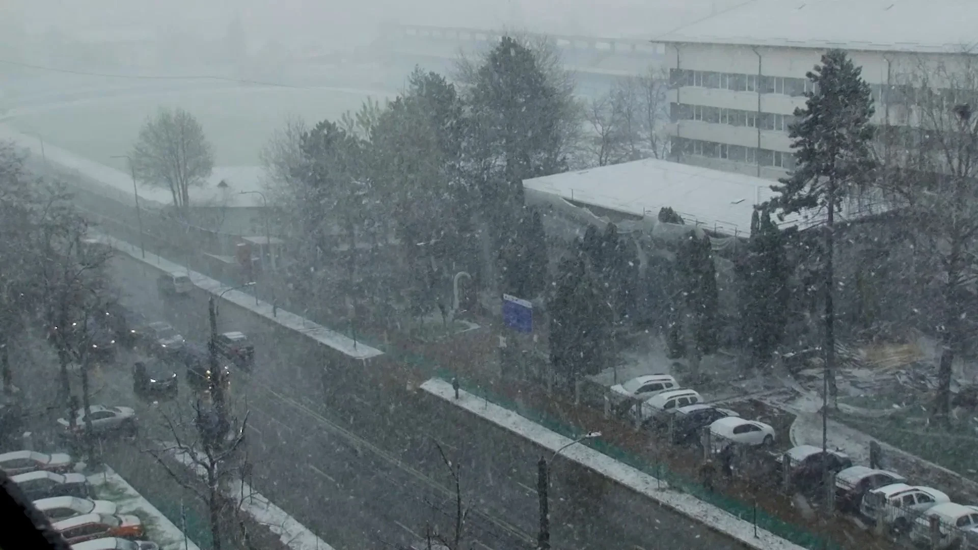 Cod galben de ninsori, polei și vânt puternic