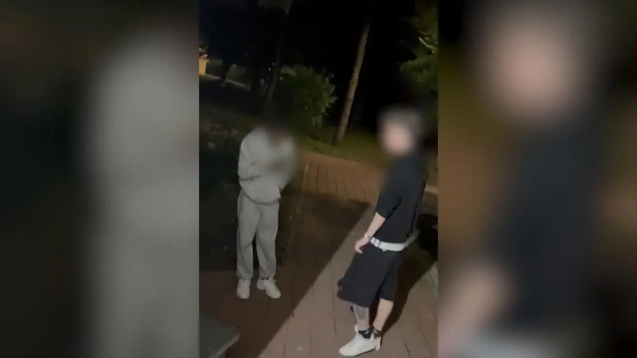 ”Justițiarii” tâlhari