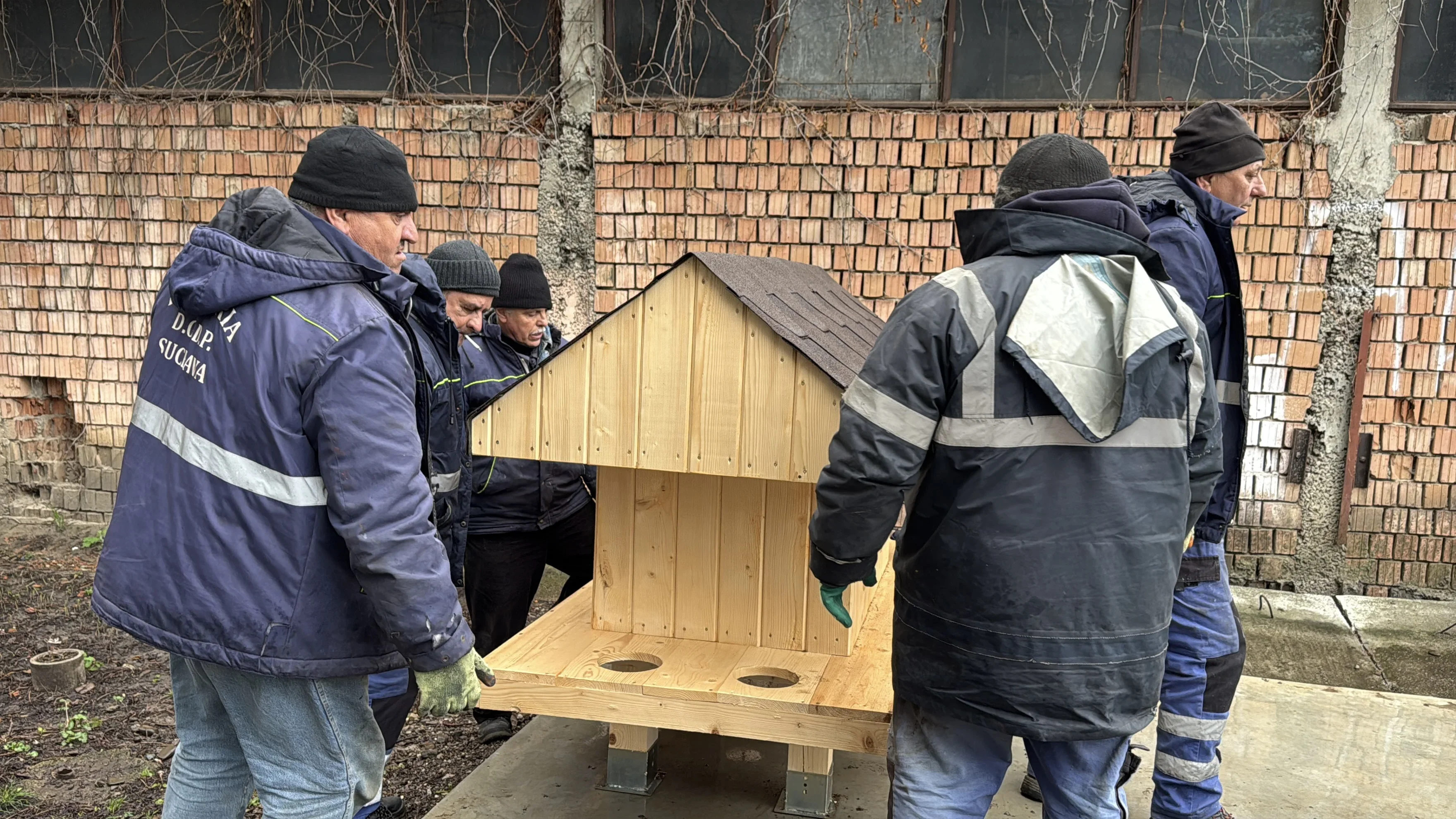 Zece căsuțe pentru pisici instalate în municipiul Suceava