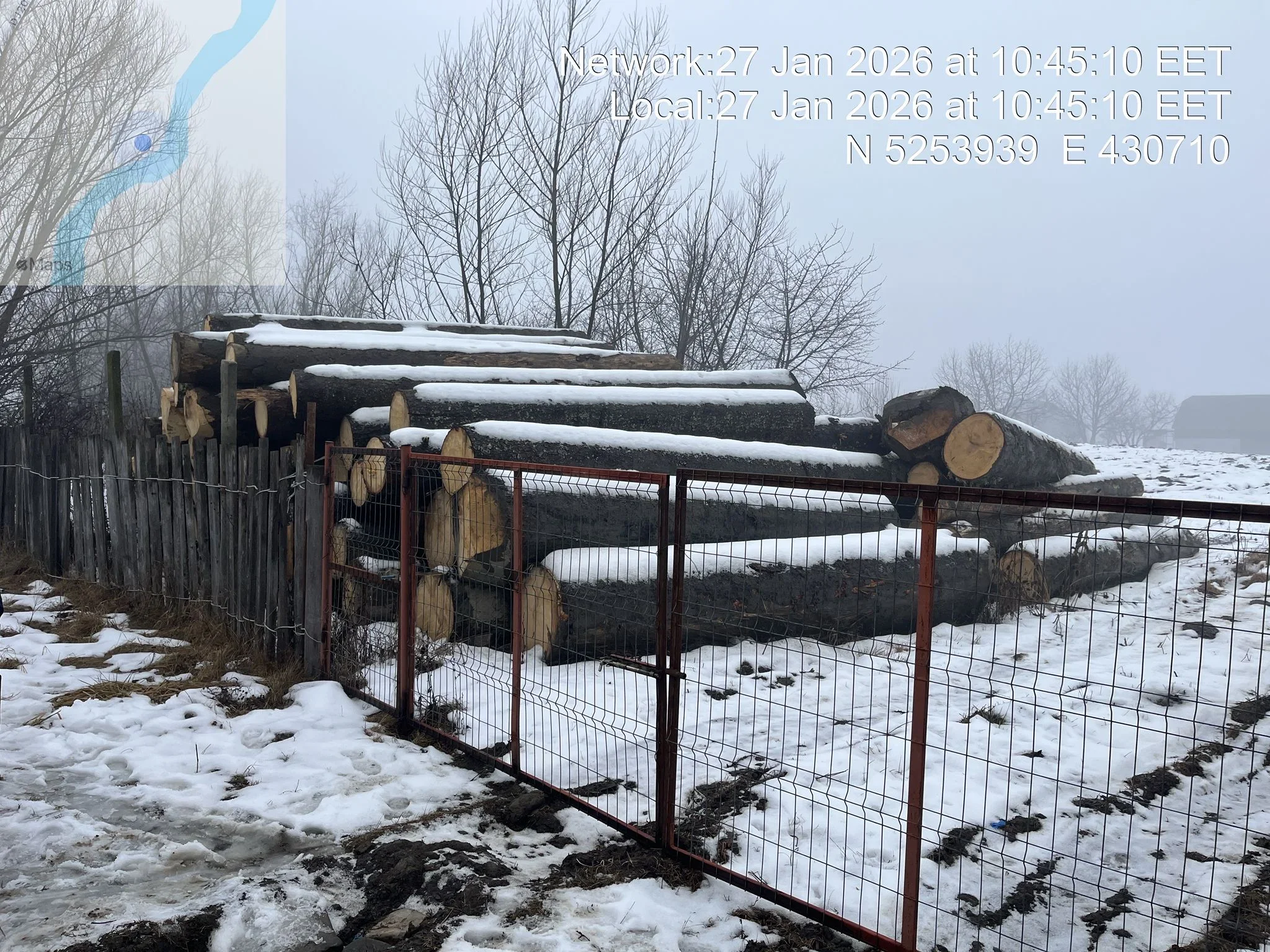 Captură semnificativă de material lemnos descoperită într-o livadă din comuna Mălini