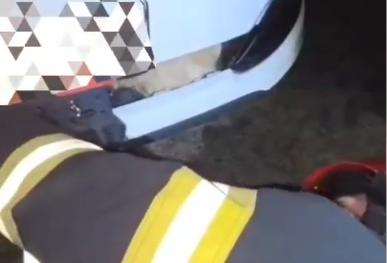 Intervenție emoționantă: un câine lovit de o mașină a fost salvat cu succes de pompieri