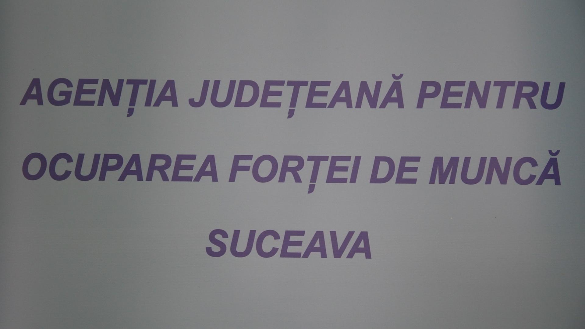 Programe de formare profesională pentru șomeri